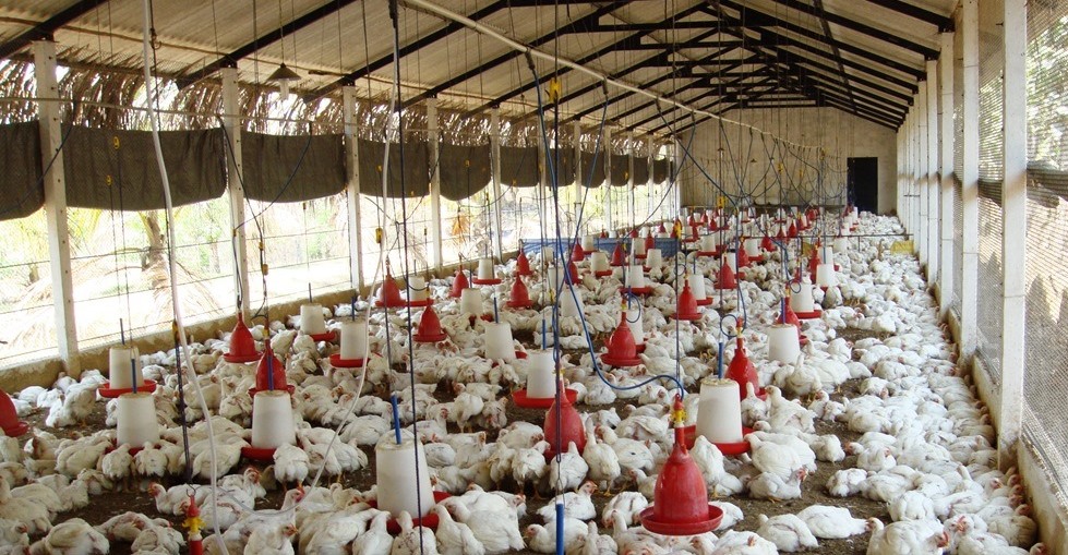 Thumbnail Placeholder